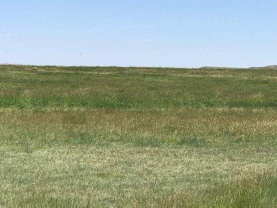 Oregon Trail Ruts