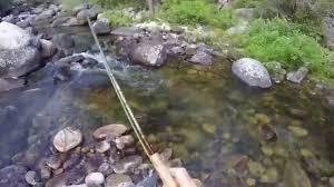 Tensleep Creek
