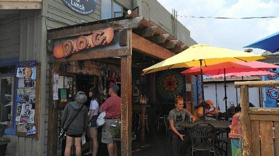 D.o.g