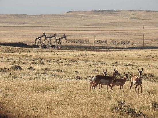 Thunder Basin National Grassland